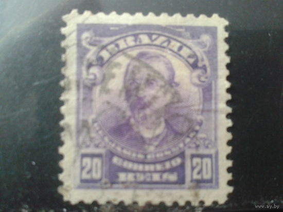 Бразилия 1906 Стандарт, персона 20