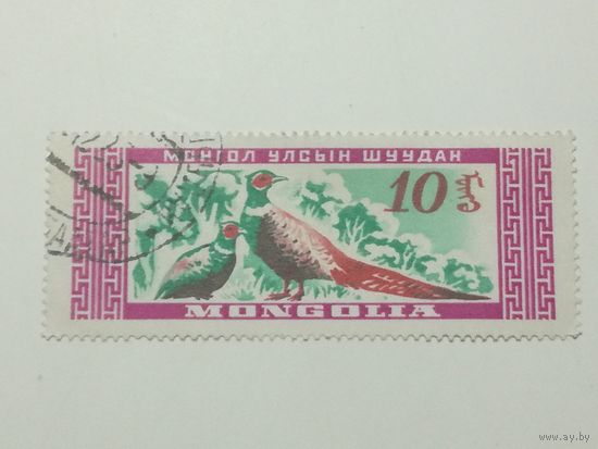 Монголия 1959. Монгольские дикие животные