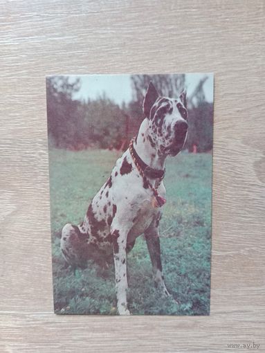 Календарик 1993