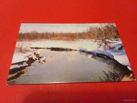 Календарик 1980г.
