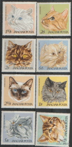 ВЕН. М. 2387/94. 1968. Коты и кошки. Чист.