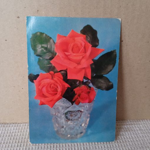 Открытка СССР, 1979г. Б/у.   14