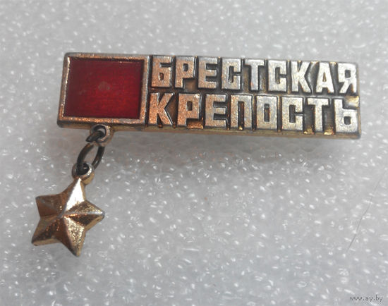 Значок.Брестская крепость Герой #0059