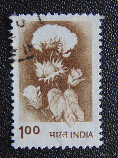 Индия 1980 г. Флора.