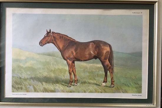 Литография 1955 год оригинал