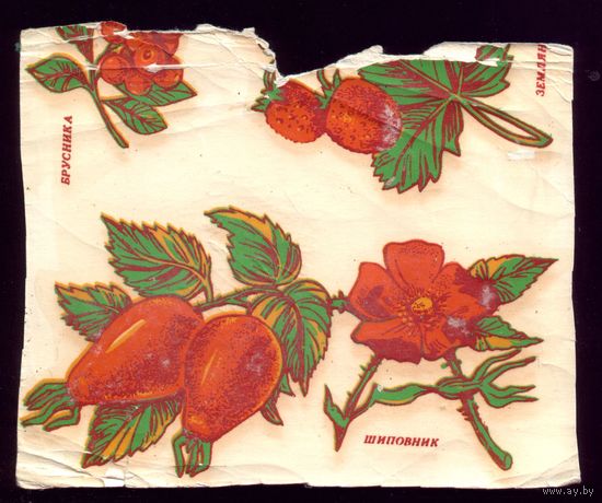 Переводная картинка Шиповник
