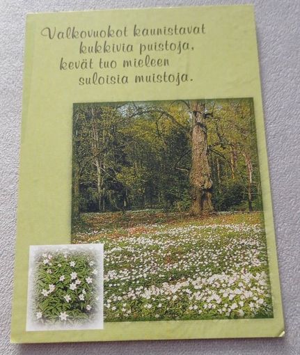 Посткроссинг. Открытка из Финляндии: национальный парк (10х15). Прошла почту. Марка, чёткий штемпель.