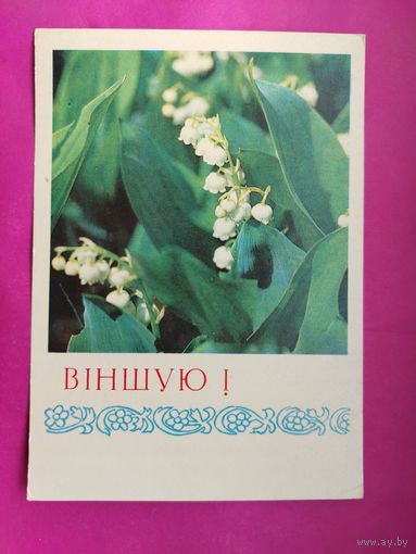 Вiншую! Поздравляю. Чистая. 1972 года. Фото Аркашова. 2601.