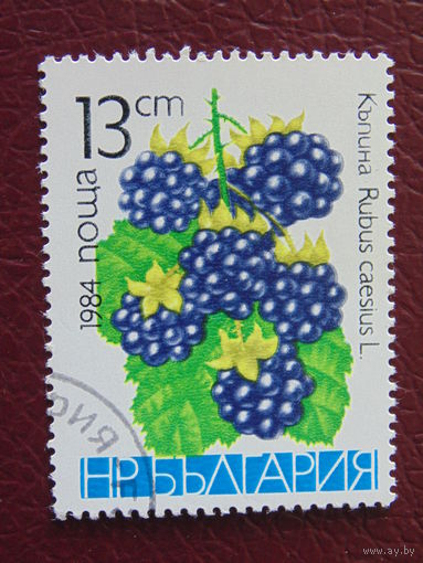 Болгария 1984 г. Ягоды.