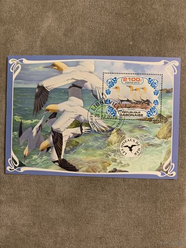 Габон 2019. Морские птицы. Блок