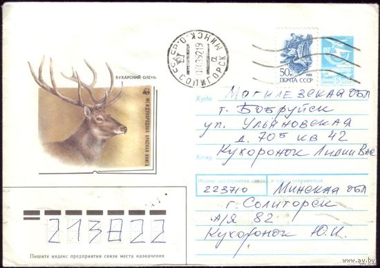1988 год ХМК А.Исаков Бухарский олень 88-153