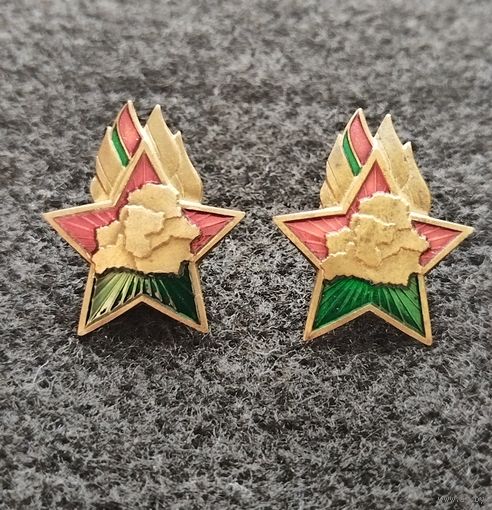 Пионерия. Республика Беларусь. Цена за один. (Е-7/1)