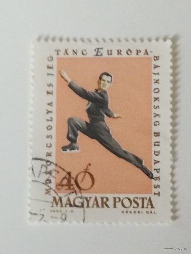 Венгрия 1963. Чемпионат Европы по фигурному катанию
