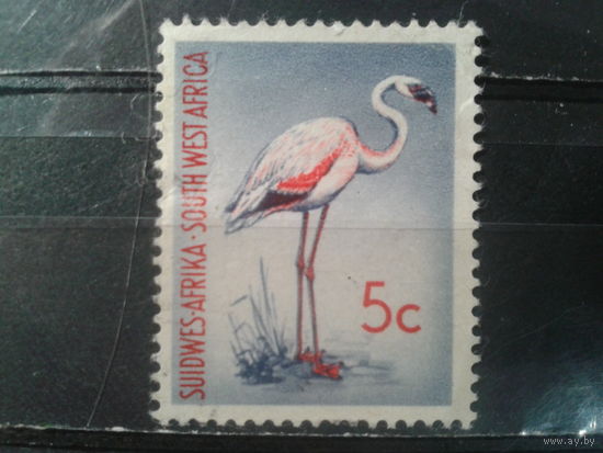 Юго-западная Африка, колония Англии, 1961. Малый фламинго