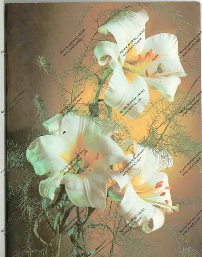 Открытка с праздником 14 х 20 см, 1990 г. чистая