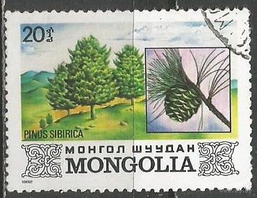 Монголия. Деревья страны. Сибирский кедр. 1982г. Mi#1489.