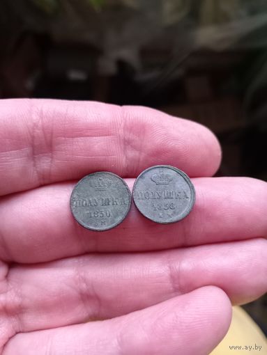 2 классные полушки