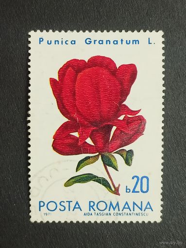 Румыния 1971. Цветы - Ботанический сад Бухареста