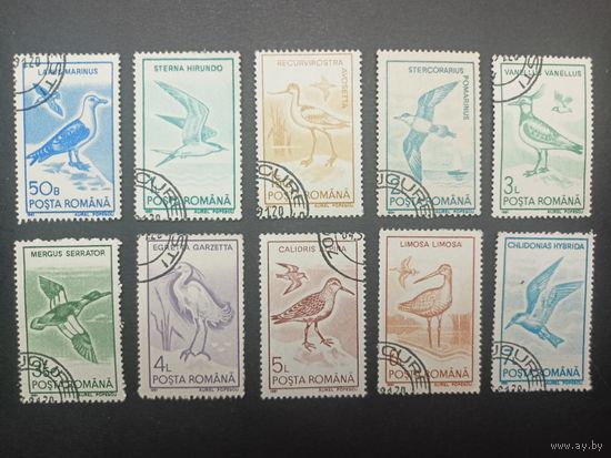 Румыния 1991. Птицы. Полная серия