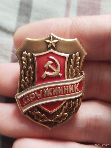 Дружинник