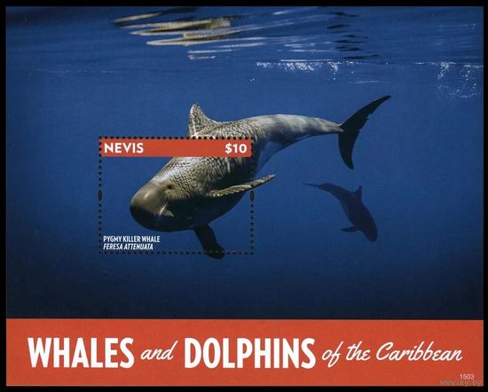 2014 Невис 3012/B363 Морская фауна - Киты 9,00 евро