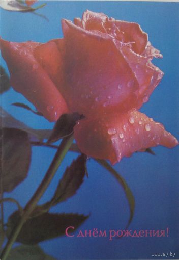 Открытка чист., двойная," С днем рождения", 1988, П. Костенко