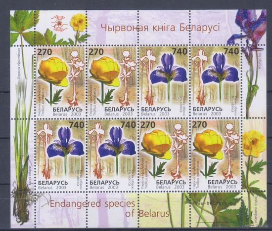 [189] Беларусь 2003. Флора.Цветы. МАЛЫЙ ЛИСТ. MNH