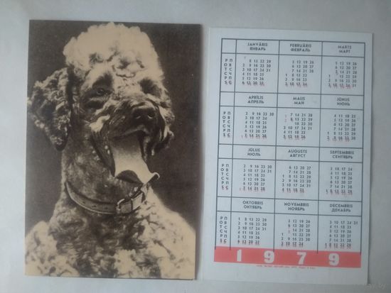Карманный календарик. Собака.1979 год