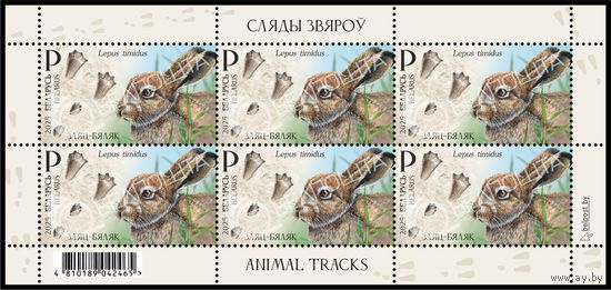 2025 БЕЛАРУСЬ Малый лист "Следы зверей" MNH