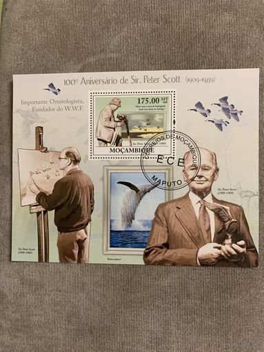 Мозамбик 2009. Sir Peter Scott 1909-1989. Блок