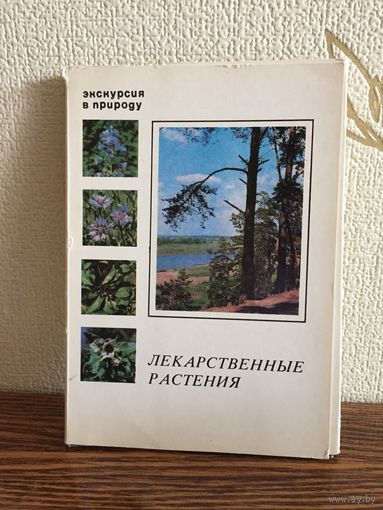 Набор открыток Экскурсия в природу. Лекарственные растения