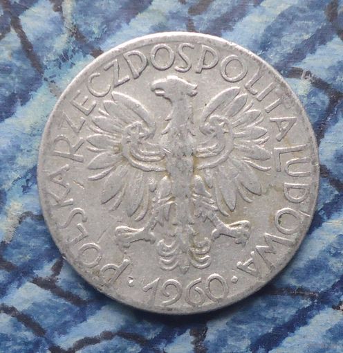 5 злотых 1960