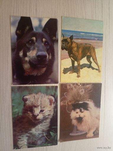 Календарики одним лотом