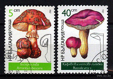 1987 Болгария. Грибы