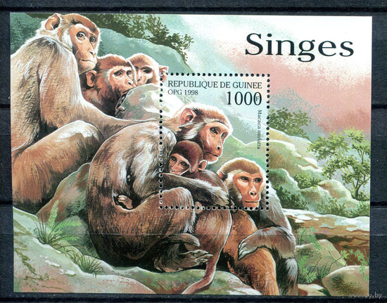 Гвинея - 1998г. - Обезьяны - полная серия, MNH [Mi bl. 542] - 1 блок