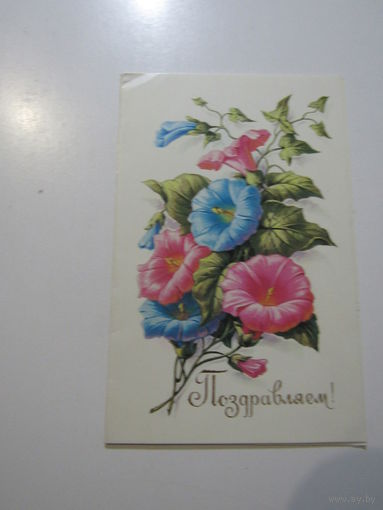 Поздравляем!   Н. Колесников. 1984 т.   двойная
