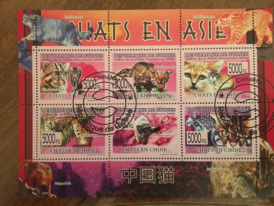 Гвинея 2008. Кошки азии (блок)