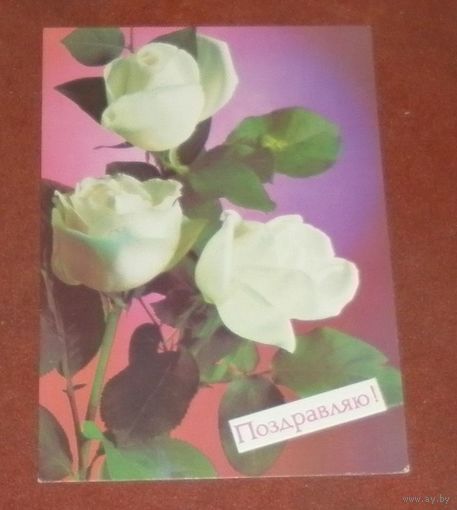 Открытка "Поздравляю" 1988г. чистая 1