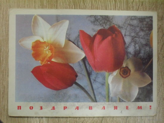 ПОДПИСАННАЯ ОТКРЫТКА СССР. "ПОЗДРАВЛЯЕМ" ФОТО. П. СМОЛЯКОВА. 1968 ГОД.