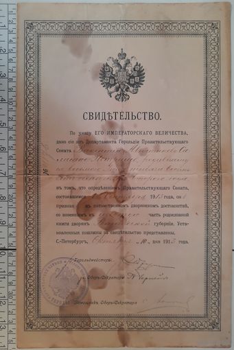 Свидетельство о принадлежности к дворянскму роду. Витебская губерня. 1913 г. Царская Россия.