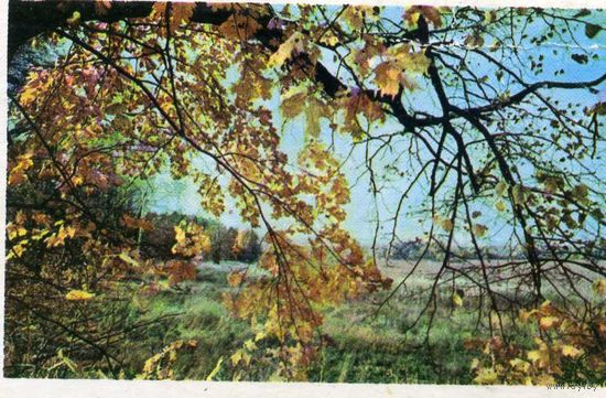 Календарик Аэрофлот 1977
