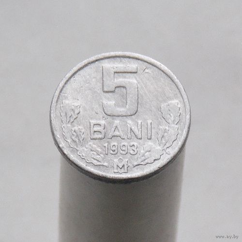 Молдова 5 бани 1993