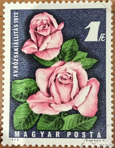 Венгрия 1972. Флора. Розы
