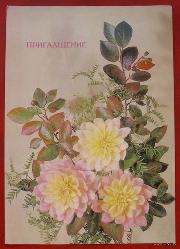 Приглашение. Чистая. 1987 года. Дергилев. 2121.