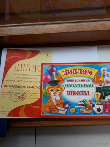 Лот Дипломов РФ