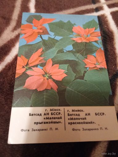 Календарик 1988г.
