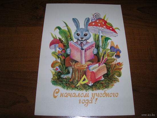 С началом учебного года. 1984 год Крапошин чистая