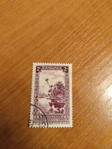 Французская колония Алжир флора (4-16)