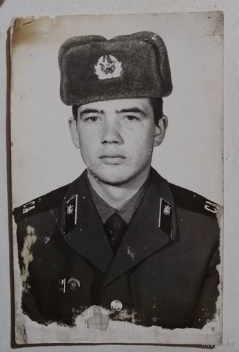 Фото в коллекцию