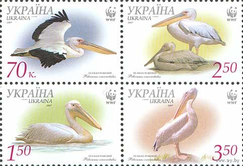 Украина 2007. WWF пеликаны 4марки сцепка